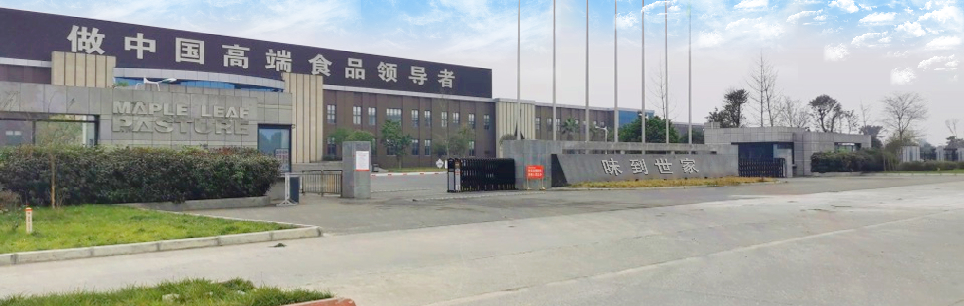 中文2